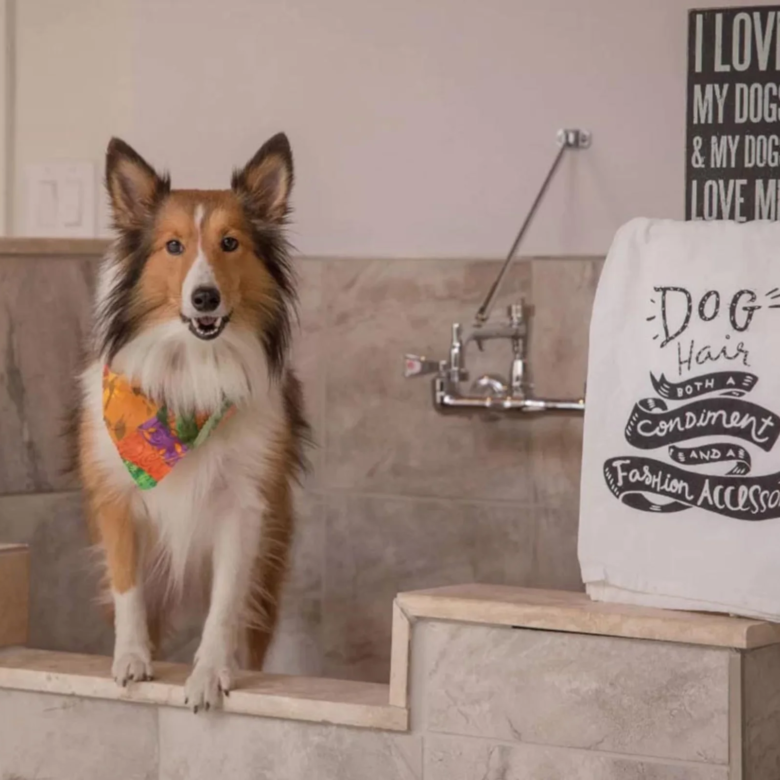 Pet shower. Apartamentos en venta en SER, Escalante, San José.