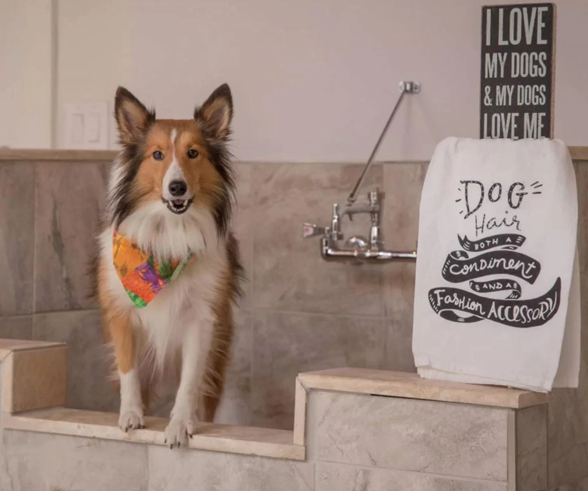 Pet shower. Apartamentos en venta en SER, Escalante, San José.